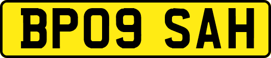BP09SAH