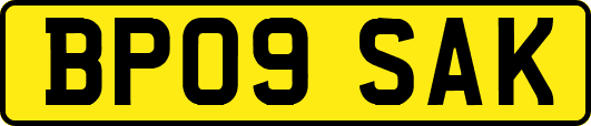 BP09SAK