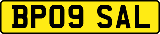 BP09SAL