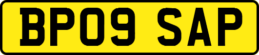 BP09SAP