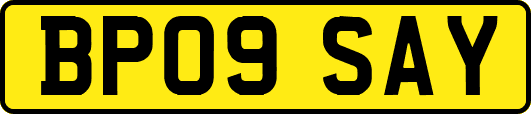 BP09SAY