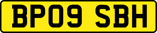 BP09SBH