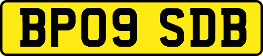 BP09SDB