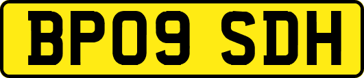 BP09SDH