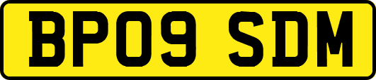 BP09SDM