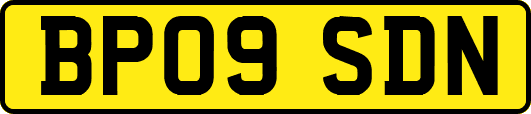 BP09SDN