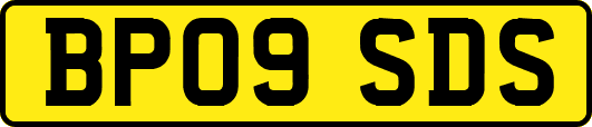 BP09SDS