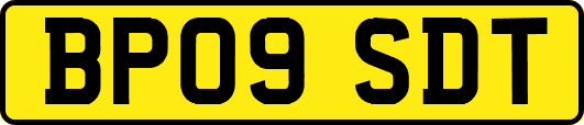 BP09SDT