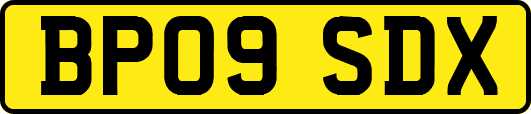 BP09SDX