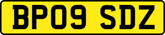 BP09SDZ