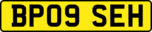 BP09SEH