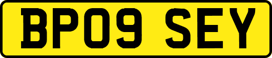 BP09SEY
