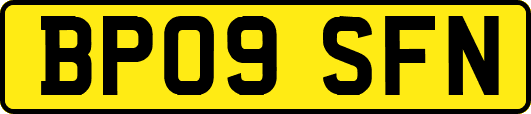 BP09SFN