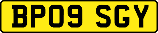 BP09SGY
