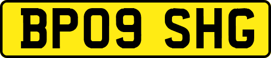 BP09SHG