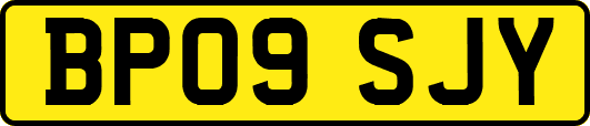 BP09SJY