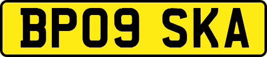 BP09SKA