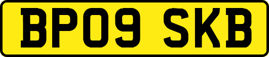 BP09SKB