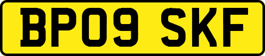 BP09SKF