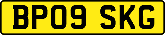 BP09SKG