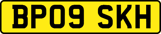 BP09SKH