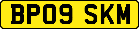 BP09SKM