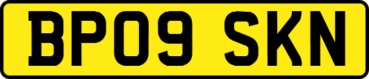 BP09SKN