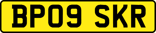 BP09SKR