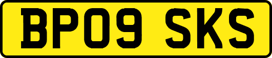 BP09SKS