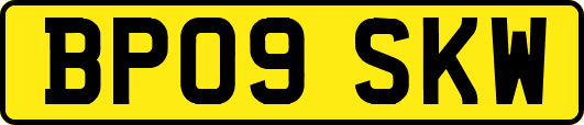 BP09SKW