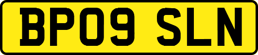 BP09SLN