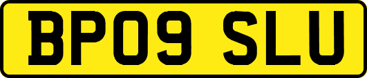 BP09SLU