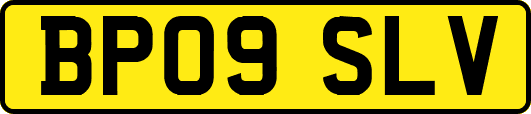 BP09SLV
