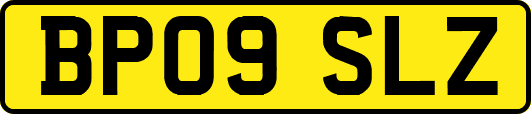 BP09SLZ