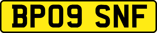 BP09SNF
