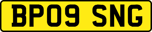 BP09SNG
