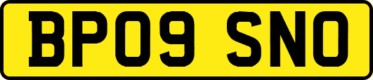 BP09SNO