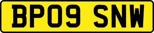 BP09SNW