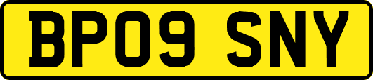 BP09SNY