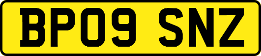 BP09SNZ