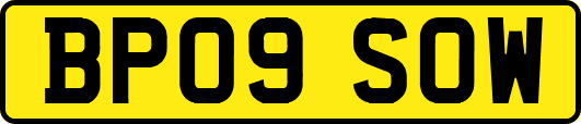 BP09SOW