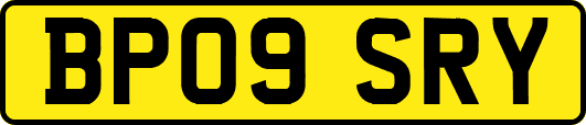 BP09SRY