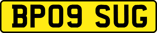 BP09SUG