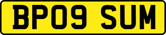 BP09SUM