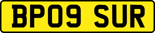 BP09SUR