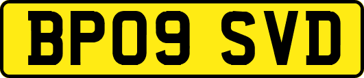 BP09SVD