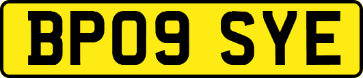 BP09SYE
