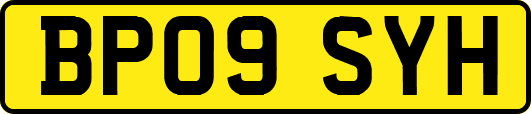 BP09SYH