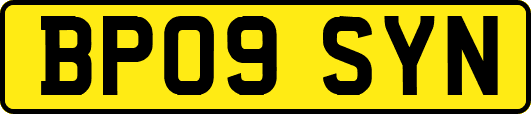 BP09SYN