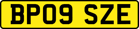 BP09SZE